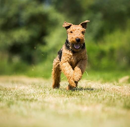 Fotografije: Jernej Lasič